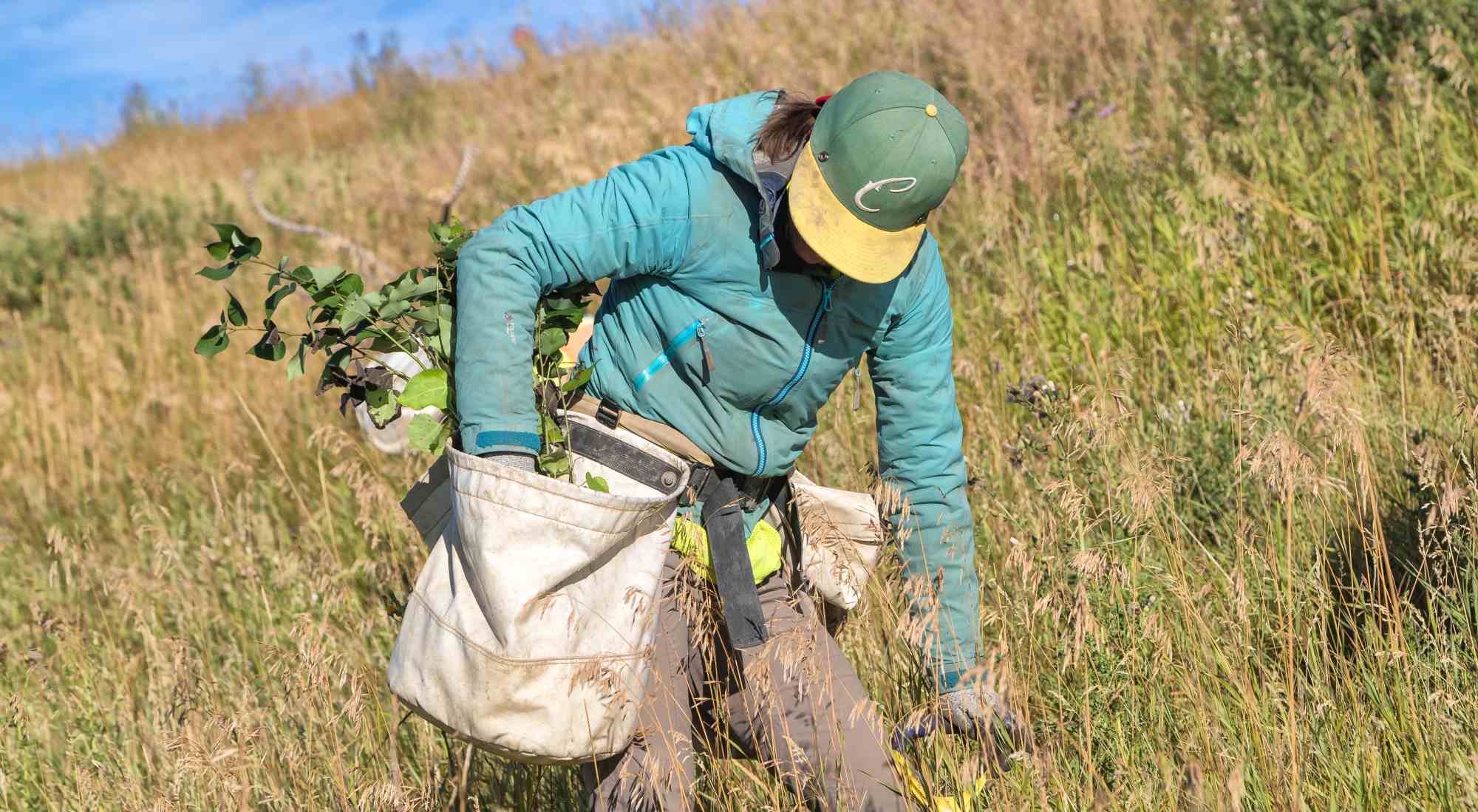 Project Forest featured in Nature Alberta Magazine Project Forest