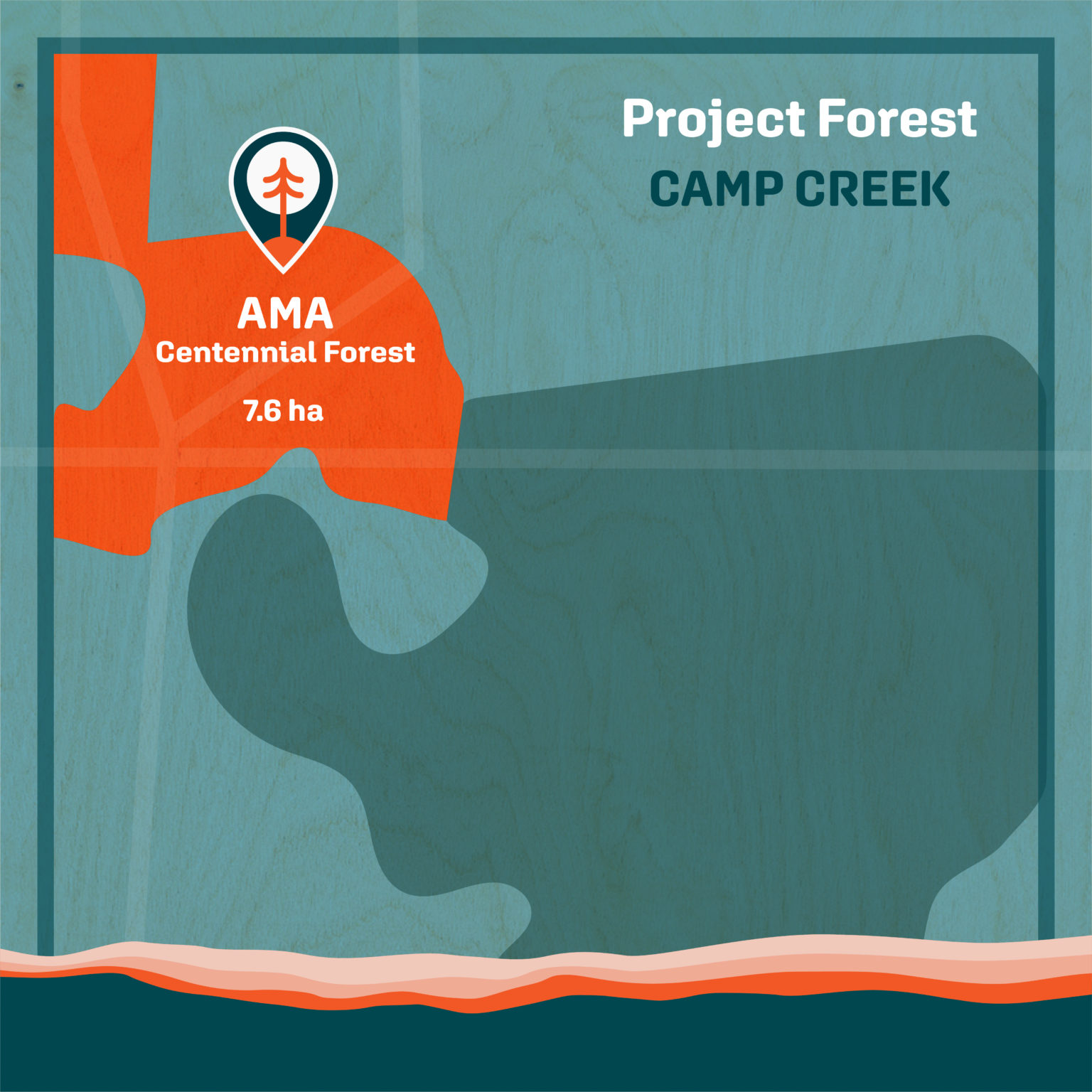Project Forest Camp Creek Project Forest