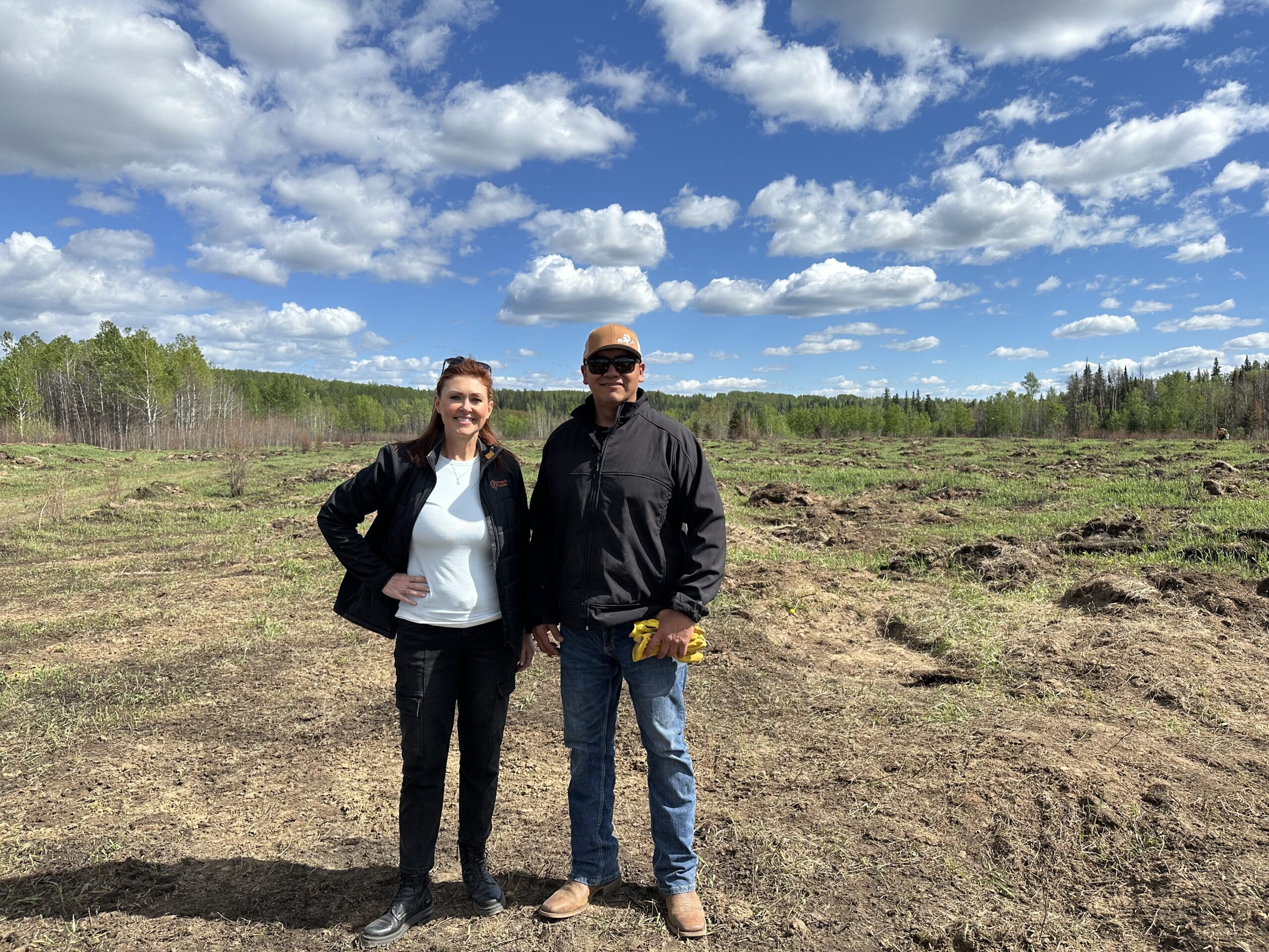 How To Choose An Ideal Rewilding Site Project Forest